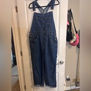 Free people we the free Ziggy denim overalls